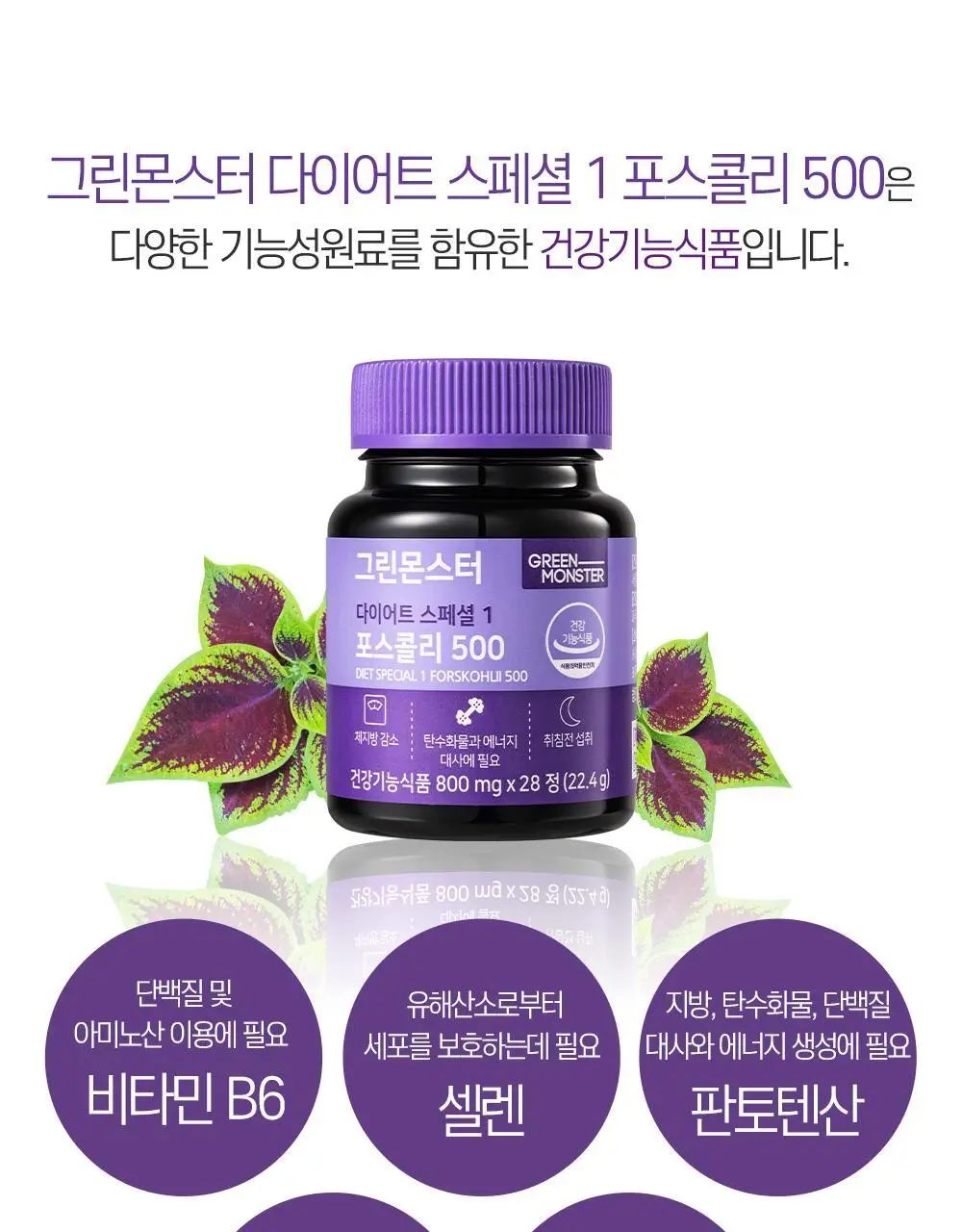 [체지방 감소/7중기능성] 그린몬스터 다이어트 콜레우스포스콜리 800mg*28정 상세페이지 10